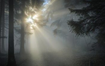 Ilustrasi Musa berdiri di tengah kabut di Gunung Sinai, menantikan panggilan dari Tuhan dalam suasana penuh kekudusan dan keheningan.