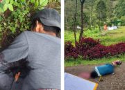 OPM Tembak Mati Dua Tukang Bangunan Gereja di Papua, TNI Sebut Tindakan Biadab