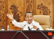 UMKM Disuruh Kelola Tambang, Siapa yang Diuntungkan Sebenarnya?