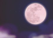 Strawberry Moon Hiasi Langit Juni: Indah, Bermakna, dan Sarat Nilai Budaya