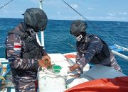 TNI AL Tangkap Dua Kapal Bermuatan Skincare dan Obat Ayam Ilegal Asal Filipina di Perairan Sangihe