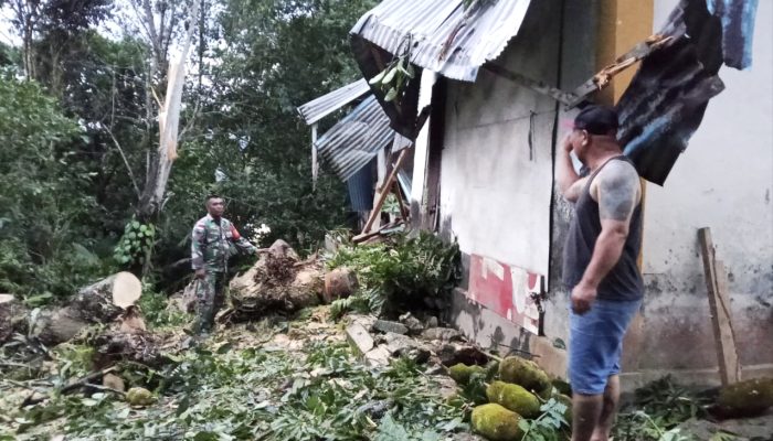 Babinsa Kodim Talaud Sigap Bantu Warga Terdampak Cuaca Ekstrim