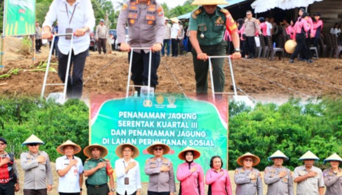Polres Tomohon Tanam 150 Ribu Bibit Jagung, Aksi Serius Polisi Hadang Krisis Pangan Global di Sulut