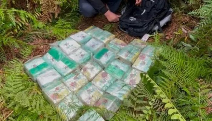 27 Kg Sabu dari Malaysia Digagalkan di Bengkalis, Perburuan Laut hingga Semak Belukar