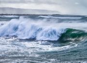 Warga Bilato Mengungsi Usai Air Laut Surut Tak Wajar, Efek Gempa M8,6 di Rusia