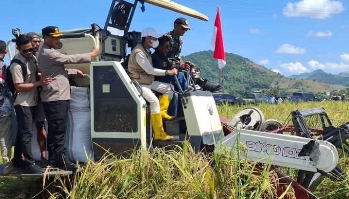 Bulog Tegaskan 2025 Tanpa Impor Beras! Komitmen Tegas Menuju Swasembada Pangan Nasional