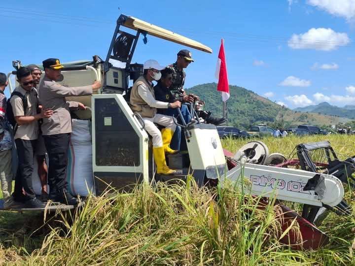 Dirut Bulog Ahmad Rizal Ramdhani tegaskan Indonesia tidak akan impor beras sepanjang 2025, fokus pada penguatan produksi dalam negeri untuk swasembada pangan.
