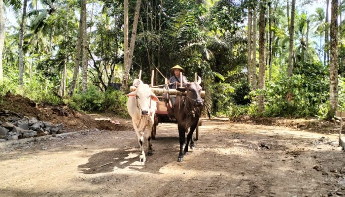 Dansatgas TMMD 125 Manado Apresiasi Warga Dukung Pembangunan Jalan 1.200 Meter