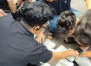 Jaringan Internasional Dibongkar! Dua Kurir Tertangkap dengan 44 Kg Sabu