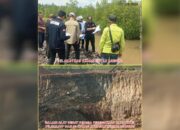 Satgas PKH Diminta Periksa Lokasi IUP di Konawe Selatan, Dugaan Perusakan Hutan Lindung PT WIN Belum Tersentuh Hukum