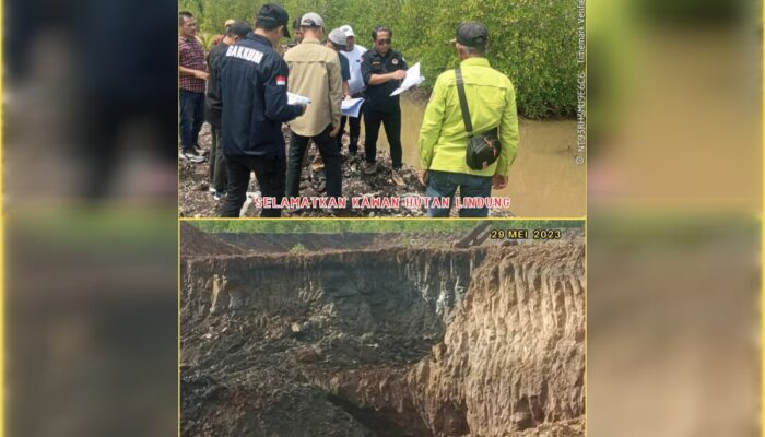 Satgas PKH Diminta Periksa Lokasi IUP di Konawe Selatan, Dugaan Perusakan Hutan Lindung PT WIN Belum Tersentuh Hukum