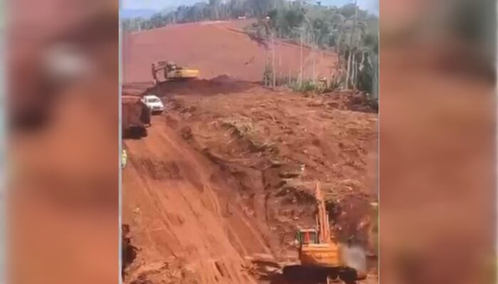 Dugaan Skandal Lahan Hutan Produksi Morowali: PT ANN & PT NMS Terseret, Oknum Kades Diduga Terlibat