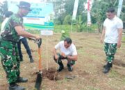 Gerakan Penghijauan Kodim Minahasa dan PLN di Desa Kembuan