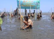 Lagi, Kodim Minahasa Tanam Mangrove di Desa Arakan