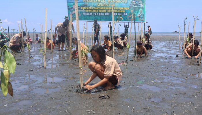 Lagi, Kodim Minahasa Tanam Mangrove di Desa Arakan