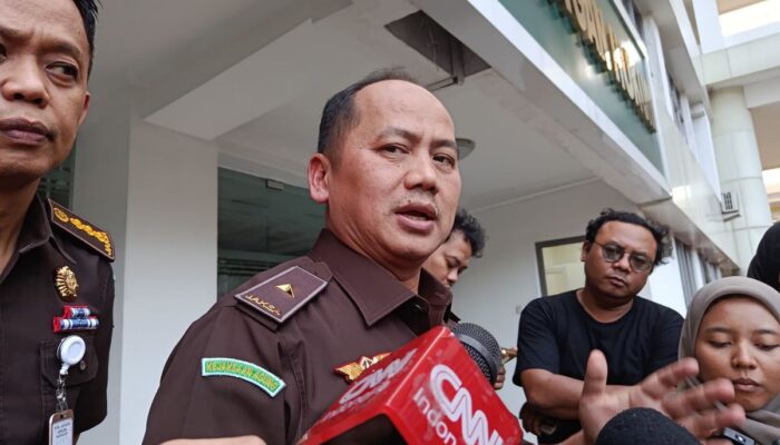 Terpojok di Negeri Orang, Paspor Dicabut, Riza Chalid dan Jurist Tan Hanya Bisa Pulang atau Jadi Imigran Ilegal