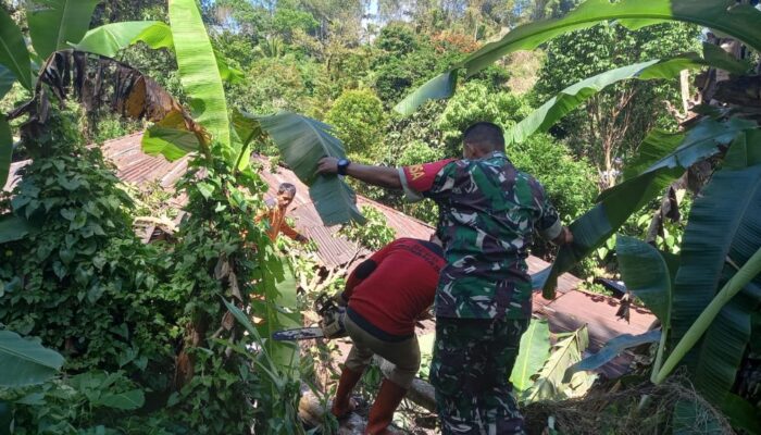 Babinsa Koramil Eris Sigap Evakuasi Rumah Tertimpa Pohon