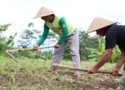 Redistribusi Tanah Akhiri Konflik Panjang Desa Soso, Petani Kini Nikmati Panen Tanpa Takut Klaim Lahan