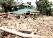 Banjir dan Longsor di Sumatra dan Aceh Tewaskan 442 Orang, Operasi SAR Terus Dikejar Waktu