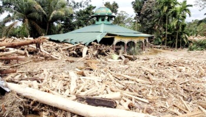 Banjir dan Longsor di Sumatra dan Aceh Tewaskan 442 Orang, Operasi SAR Terus Dikejar Waktu