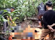 Hilang Tiga Pekan, Lansia Tataaran Ditemukan Membusuk di Perkebunan Parigi