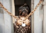Modus TPPO Kamboja Terbongkar, WNI Dijanjikan Operator Komputer Dipaksa Jadi Scammer