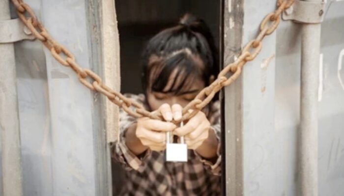 Modus TPPO Kamboja Terbongkar, WNI Dijanjikan Operator Komputer Dipaksa Jadi Scammer