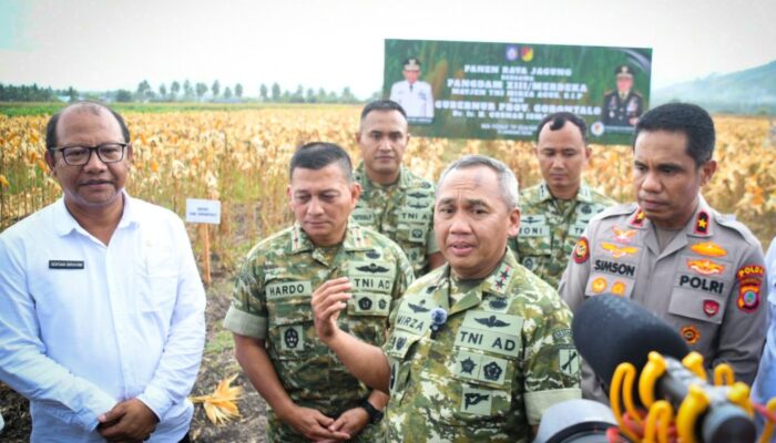 Kodam Merdeka-Pemprov Gorontalo Panen Jagung di Tabongo, Wujudkan Ketahanan Pangan