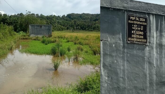 Inilah Penampakan Proyek Presiden Prabowo yang Serobot Lahan Warga di Kakas Barat dengan Kedok Ketahanan Pangan