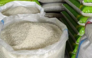 Stok Beras 4,9 Juta Ton, Pemerintah Klaim Indonesia Sudah Swasembada Pangan