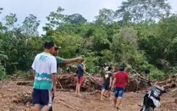 Eks Wawali Tomohon Wenny Lumentut Diduga Babat Hutan Lindung Tatawiran, Warga Desak Stop Aktivitas