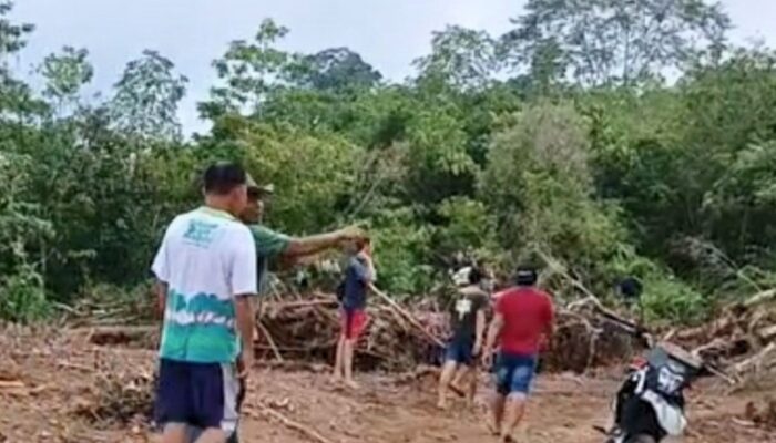 Eks Wawali Tomohon Wenny Lumentut Diduga Babat Hutan Lindung Tatawiran, Warga Desak Stop Aktivitas