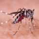 Kasus DBD Indonesia Tembus 30 Ribu, Penularan Meluas di 29 Provinsi