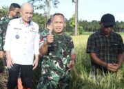 Mayjen Mirza Tanam Padi di  Pohuwato, Wujud Dukung Ketahanan Pangan