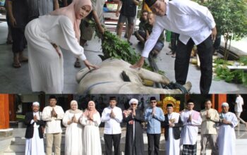 Korem Santiago Helat Sholat Idul Adha, Halal Bihalal dan Bagikan Hewan Kurban
