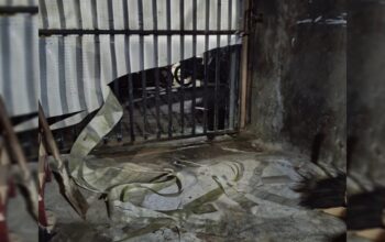 Rumah Wakil Ketua Panitia Pilkades Wasian Diduga Diteror, Pintu Dirusak Orang Tak Dikenal