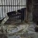 Rumah Wakil Ketua Panitia Pilkades Wasian Diduga Diteror, Pintu Dirusak Orang Tak Dikenal