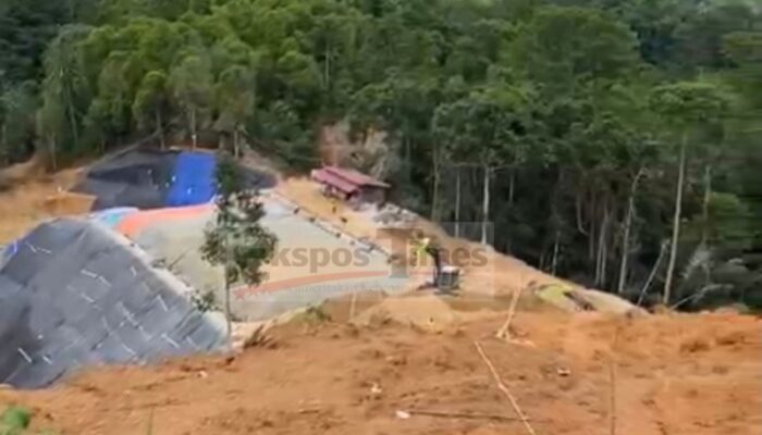 Herry Bos PETI Belang Mitra ‘Sangat Sakti’! Lawan Asta Cita Presiden Prabowo, Tak Tersentuh Tangan Aparat dan Pemerintah