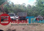 Aktivitas alat berat dan truk pengangkut material batu di lokasi galian batu Kasuang yang diduga belum memiliki izin resmi.