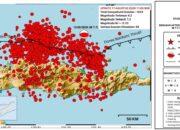 1.624 gempa susulan mengguncang Flores setelah gempa utama magnitudo 7,7 pada 15 Agustus 2026.