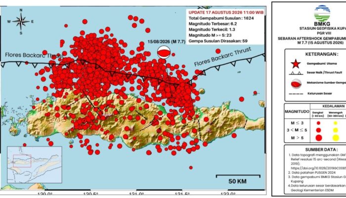 1.624 Gempa Susulan Mengguncang Flores, BMKG: Aktivitas Tektonik Masih Berlanjut